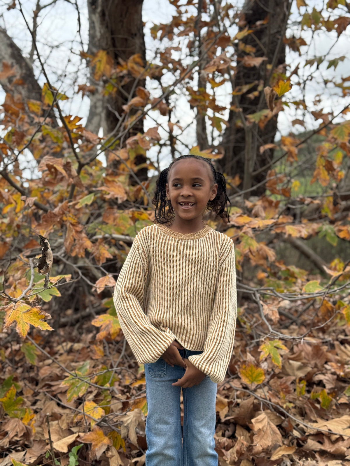 Autumn Sweater