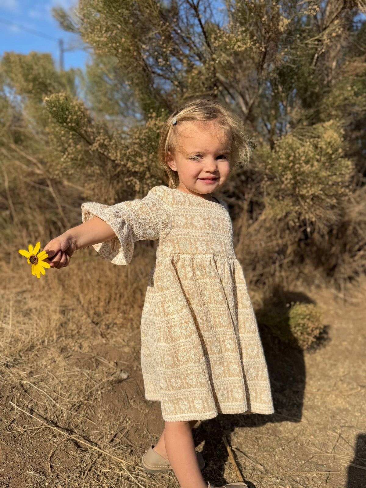 Paige Dress in Gold Snowflake