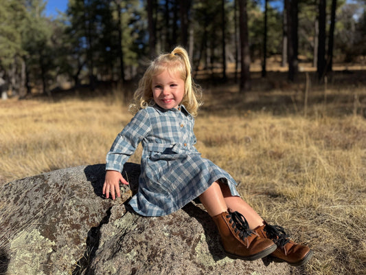 Amy Dress in Blue Plaid