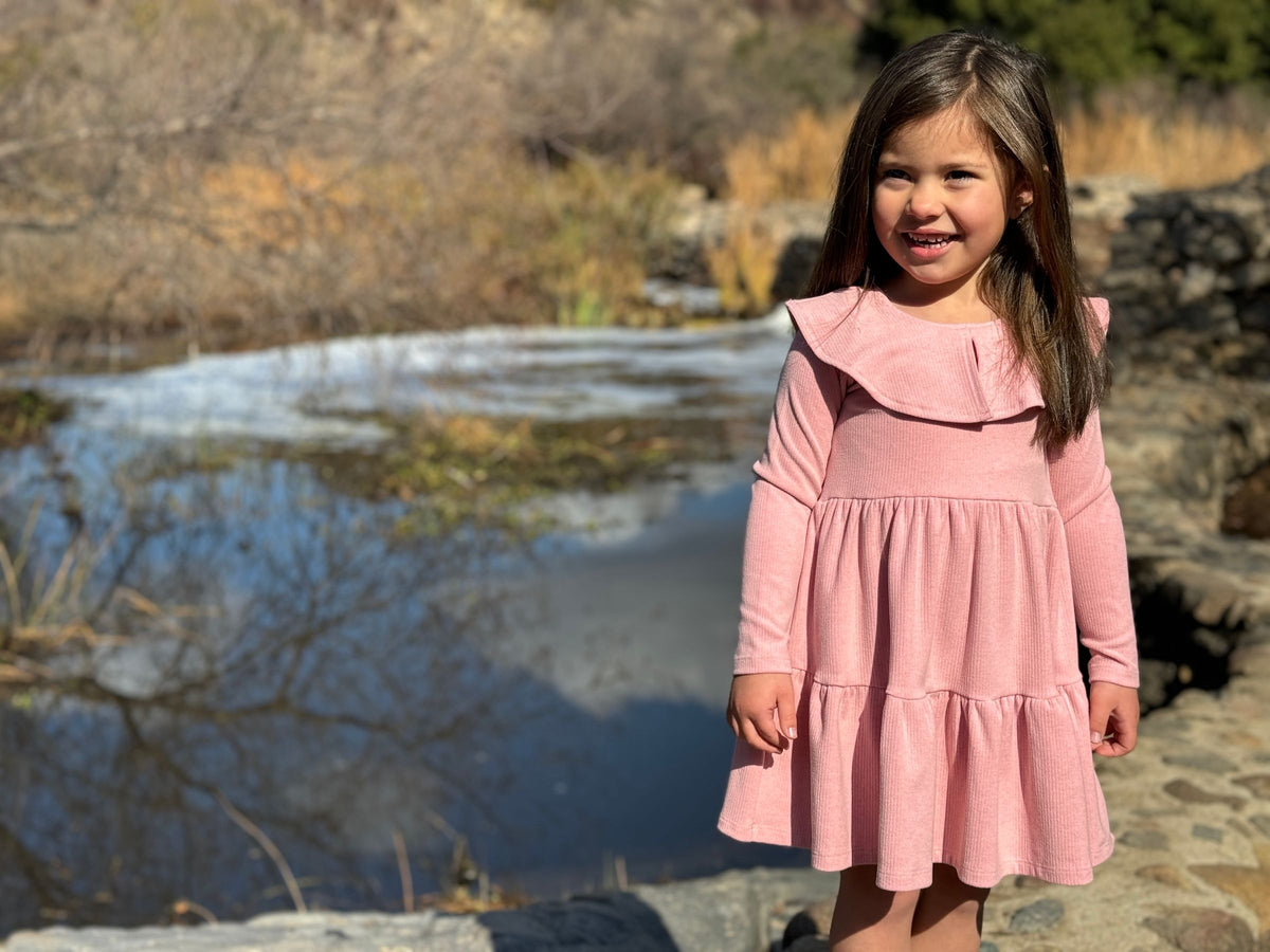 Jenny Dress in Rose