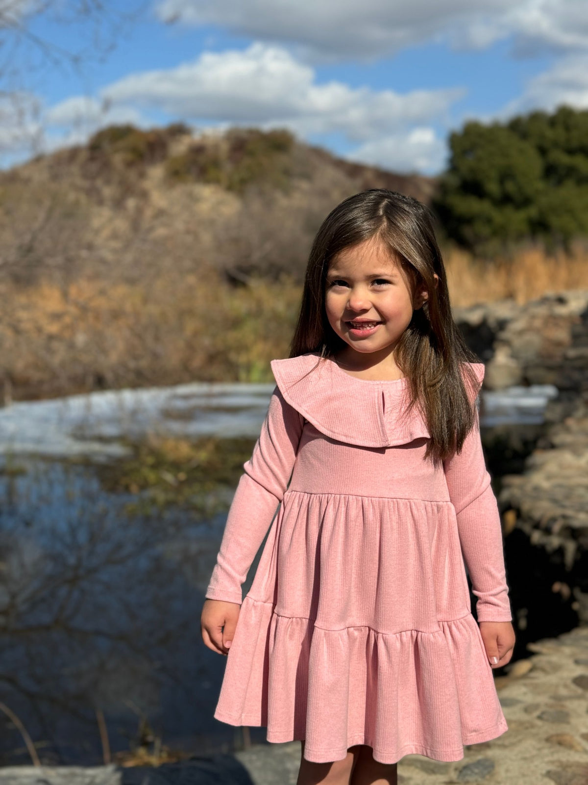 Jenny Dress in Rose