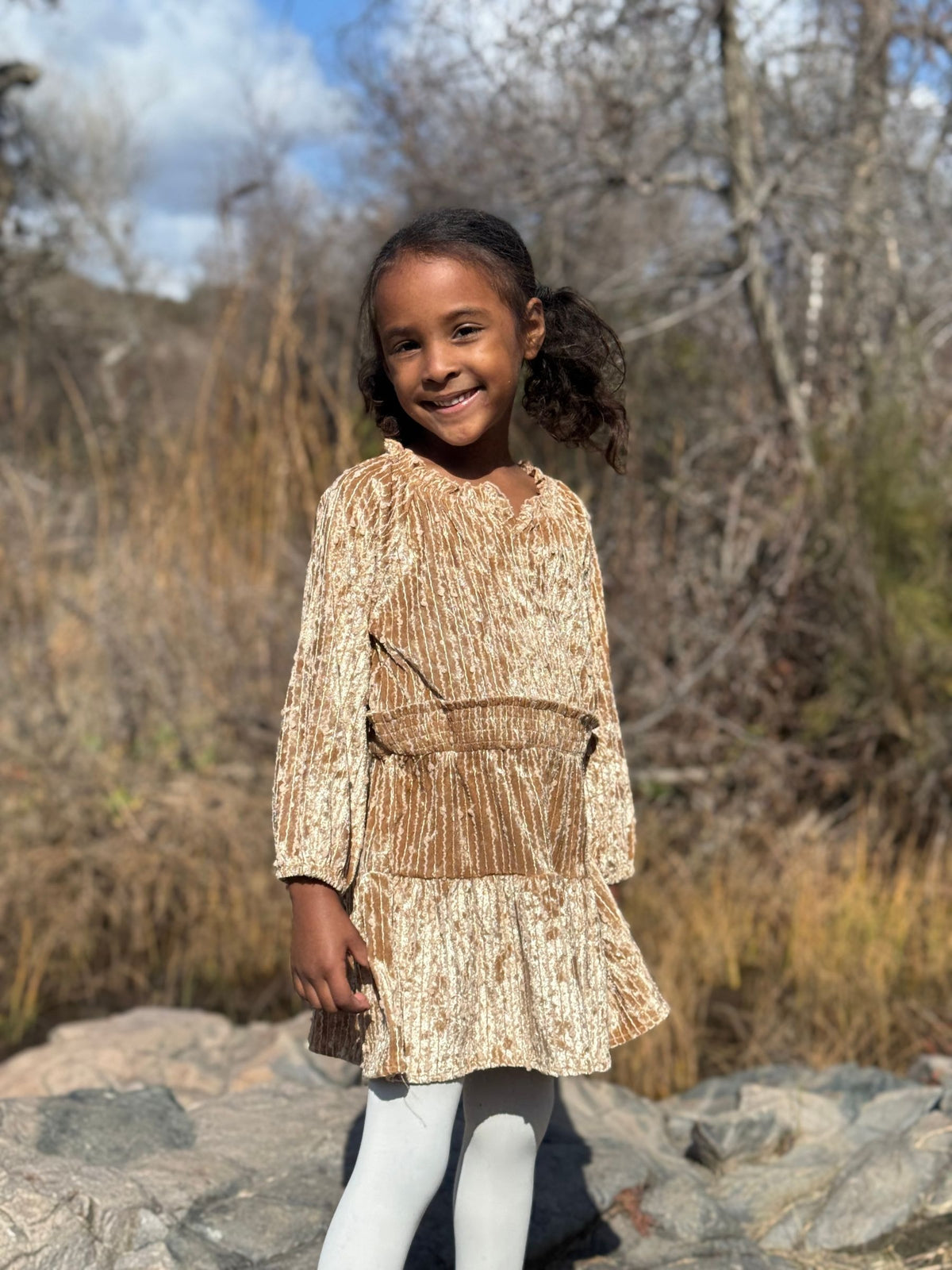 Willow Dress in Fawn Sequin Velvet