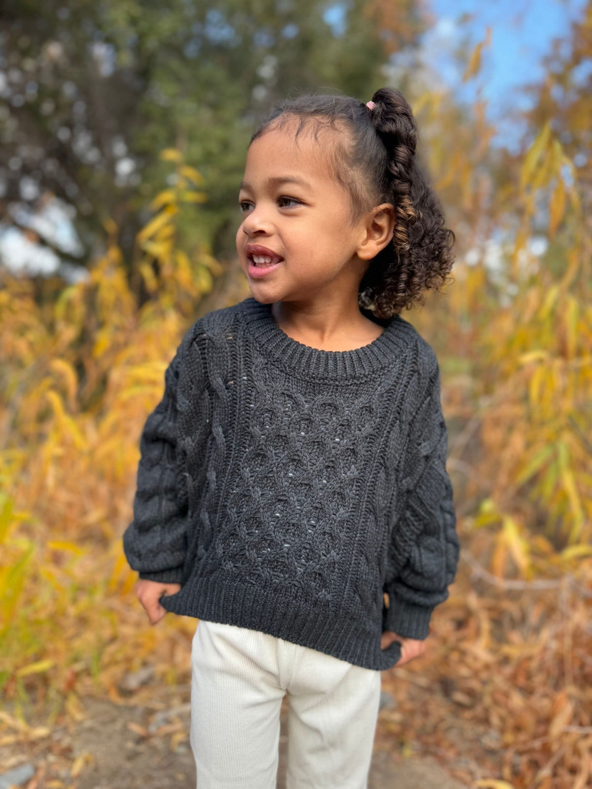 Molly Sweater in Charcoal