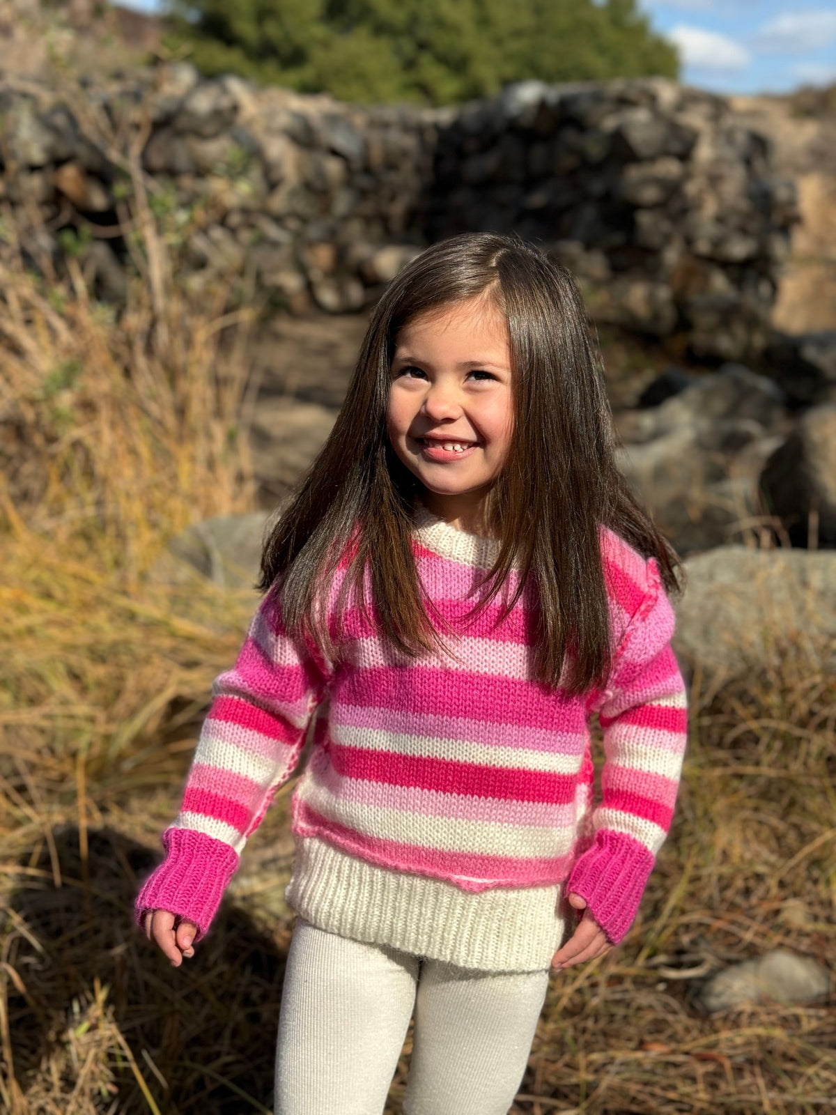 Donna Sweater in Berry Stripe