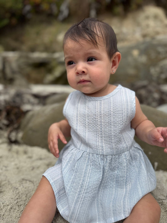nellie onesie dress in blue stripe