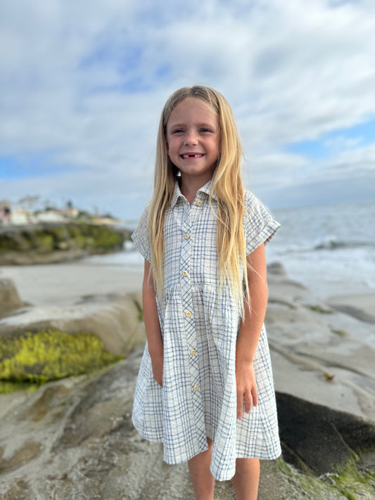 heather dress in blue plaid seersucker