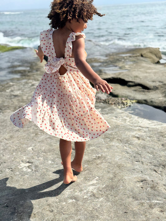 emmie dress in oatmeal strawberries