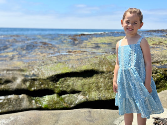 tess dress in blue embroidered