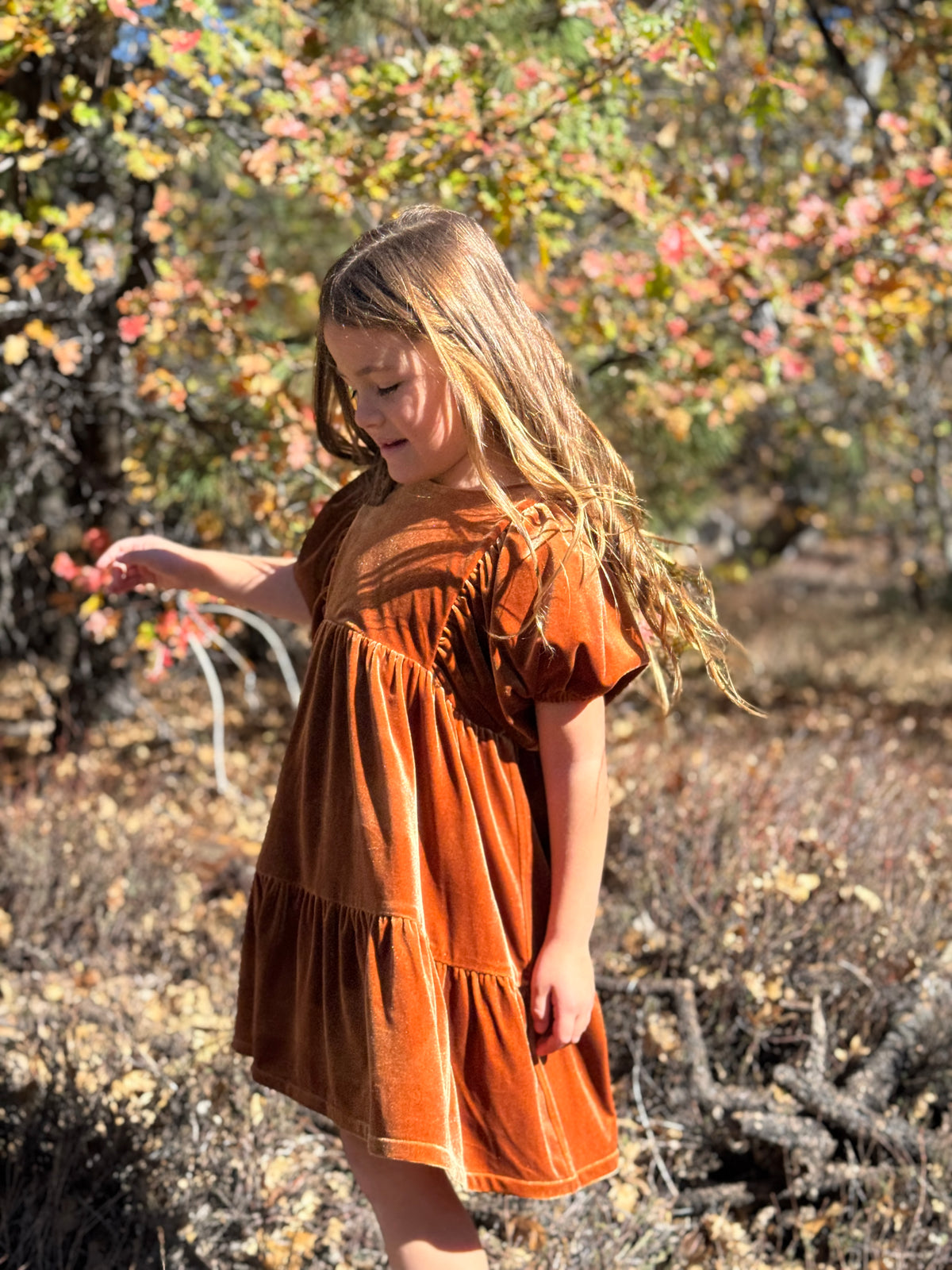 Noah Dress