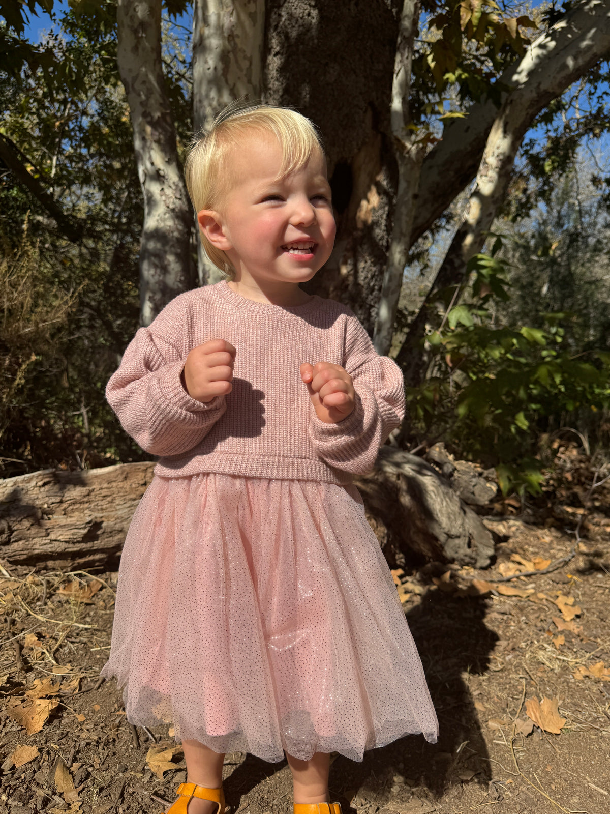 Birdie Dress