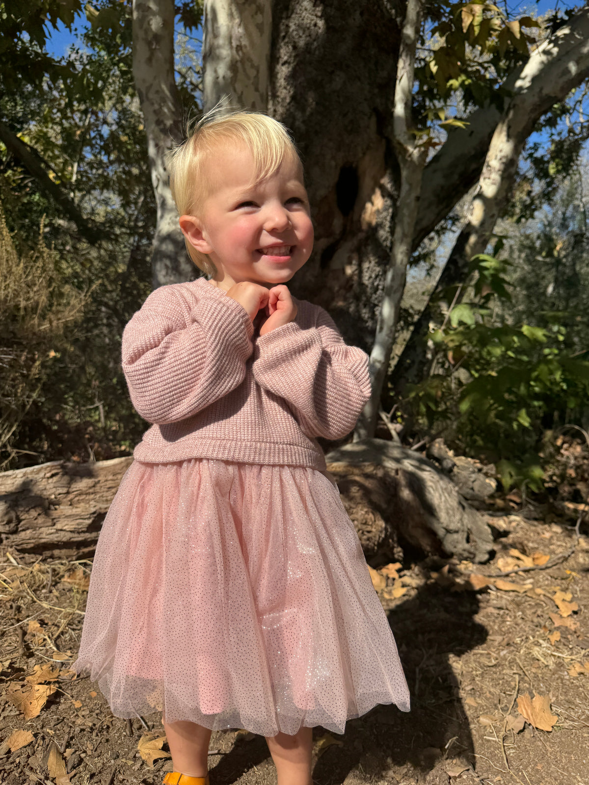 Birdie Dress
