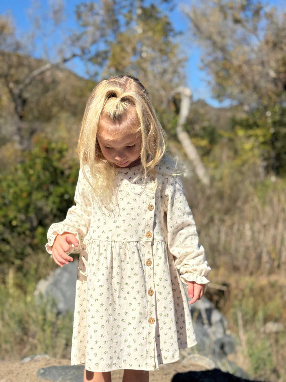Charlotte Dress