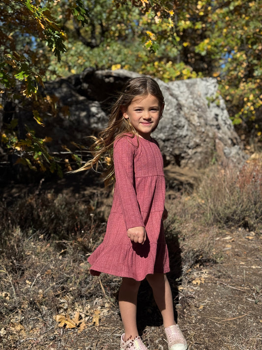 Iona Dress Long Sleeve