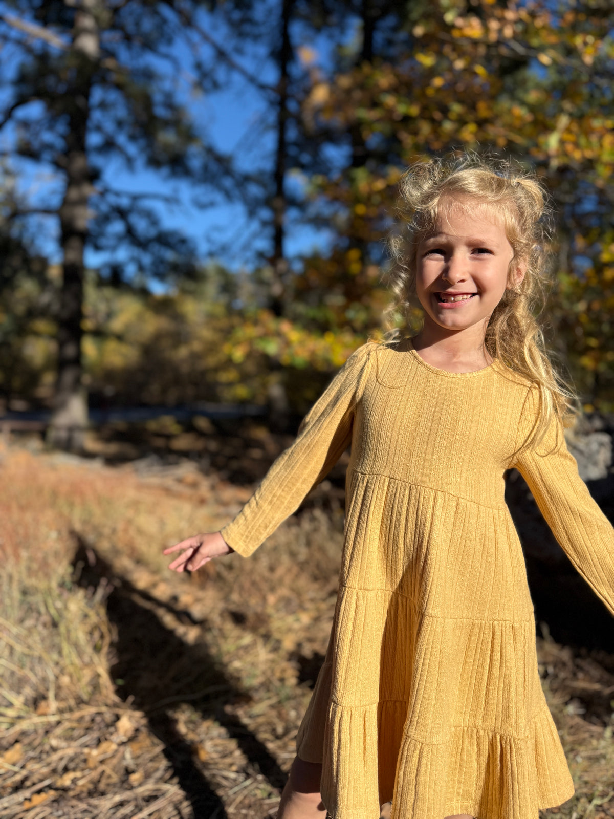 Iona Dress Long Sleeve