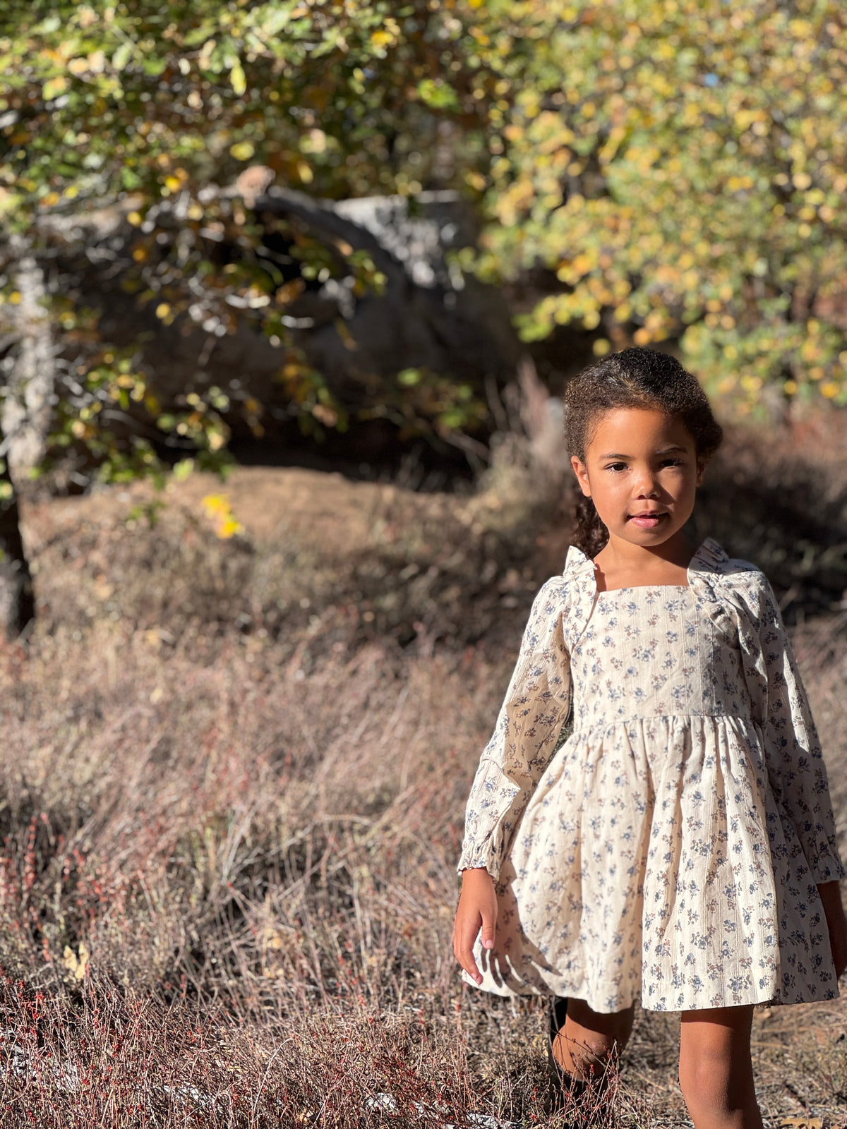 Ciera Dress