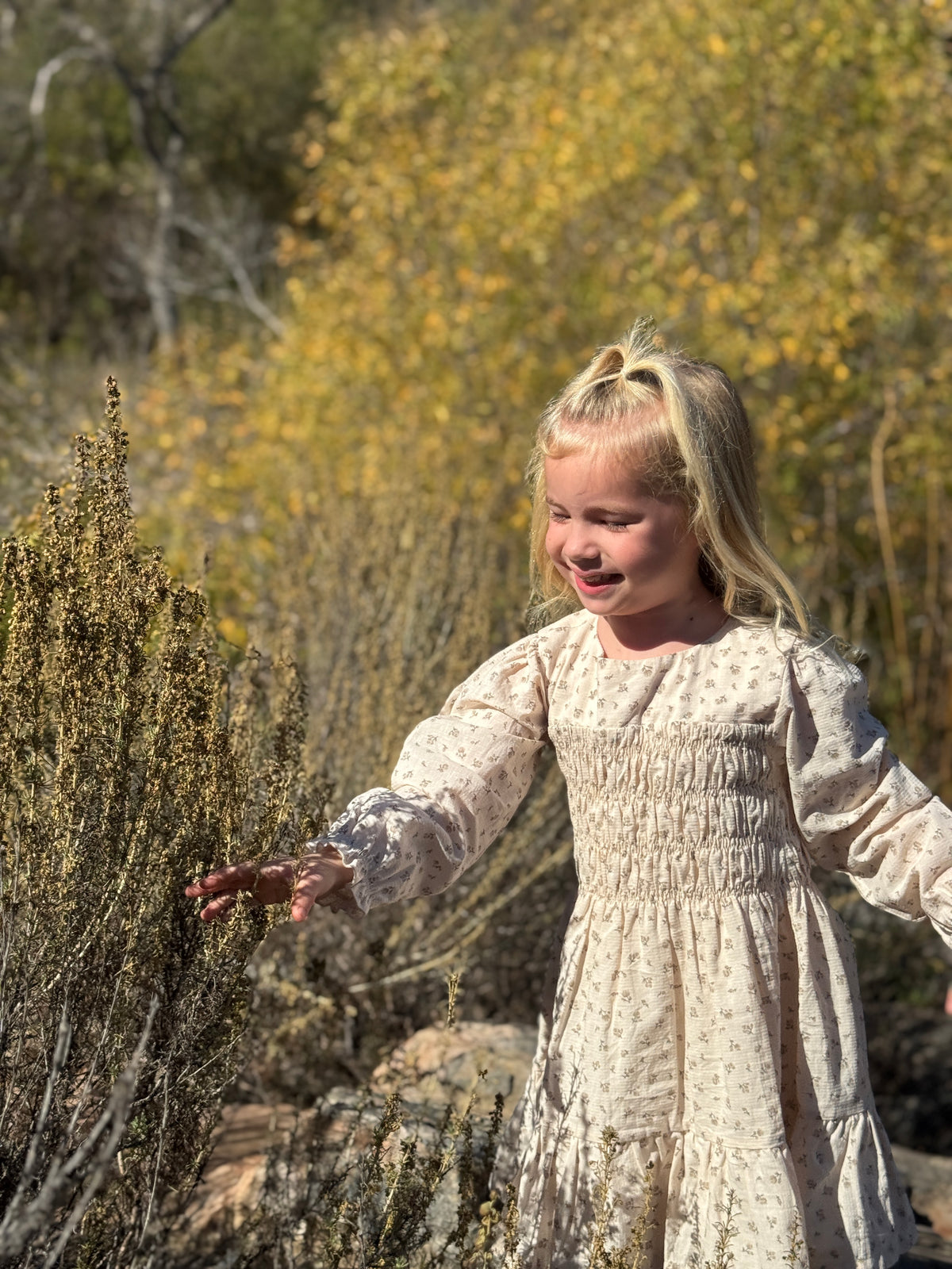 Adelyn Dress