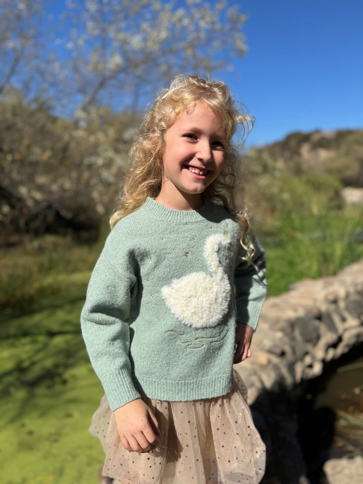 Nova Graphic Sweater