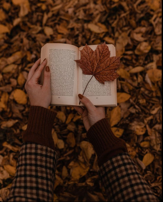 Vignette's Fall Reading List