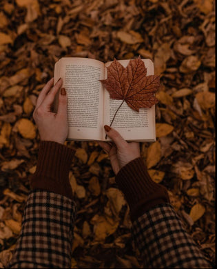  Vignette's Fall Reading List