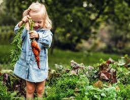 Gardening With Kids: Dirt, Drama, and Delayed Gratification
