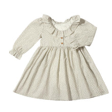 Milly Dress in Ivory Daisy
