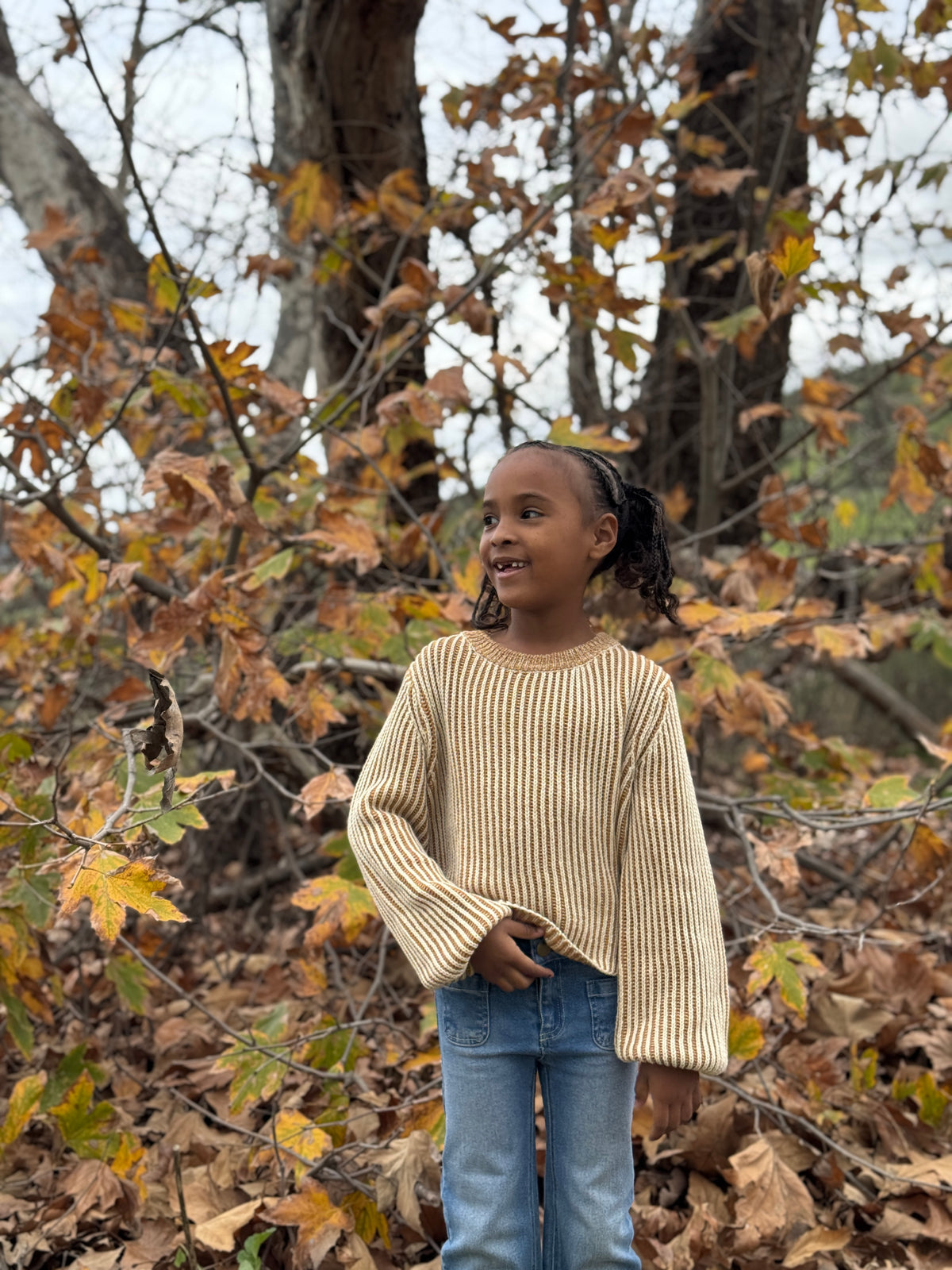 Autumn Sweater