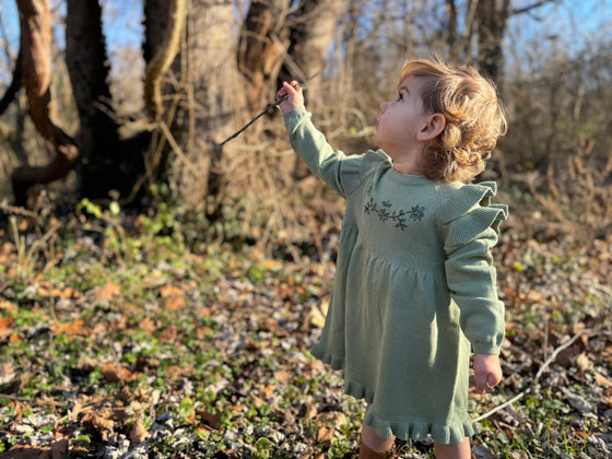 Ysella Dress in Sage - LM
