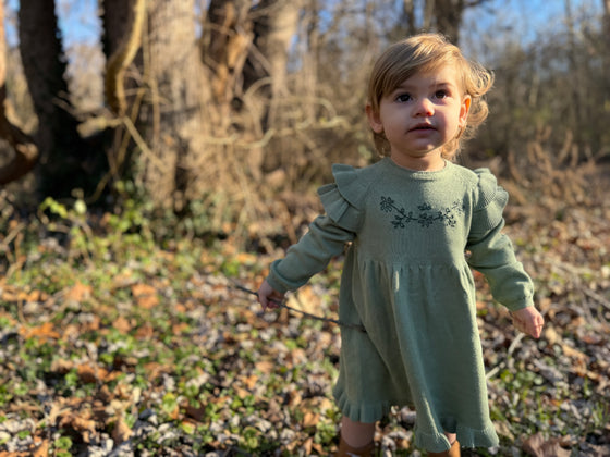 Ysella Dress in Sage - LM