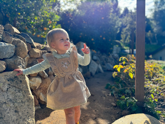 Janice Dress in Tan Corduroy - LM