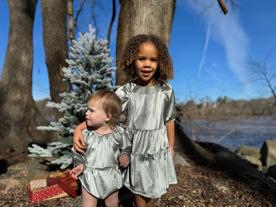 Alice Dress in Silver