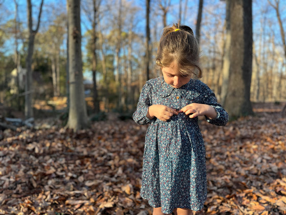 Sylvie Dress in Blue Floral