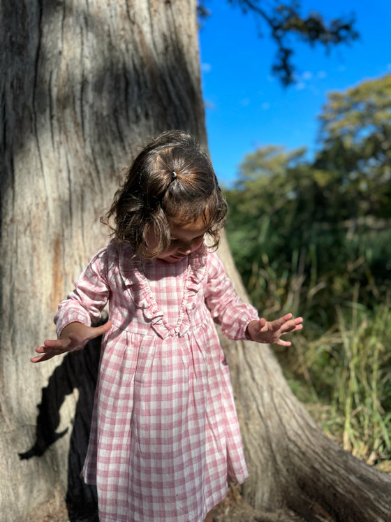 Rowan Dress in Pink Plaid