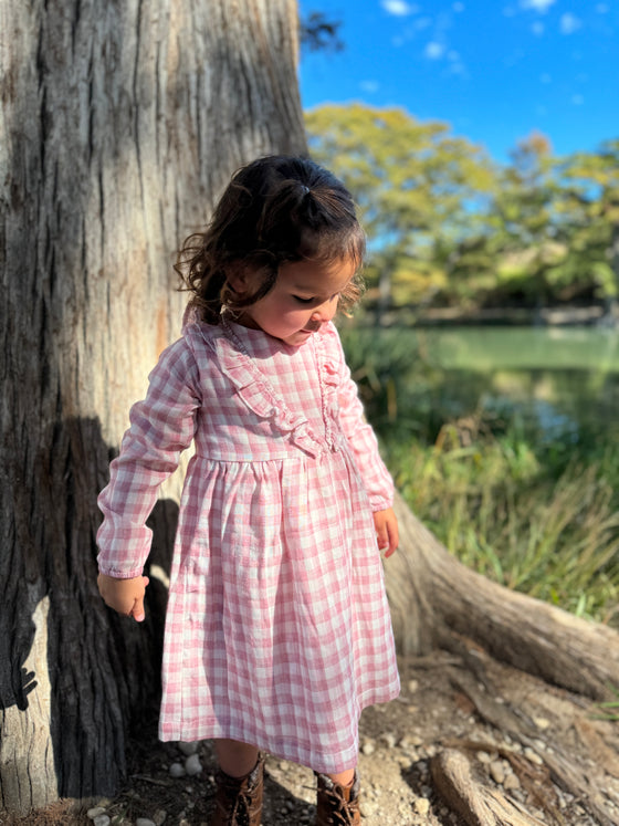 Rowan Dress in Pink Plaid
