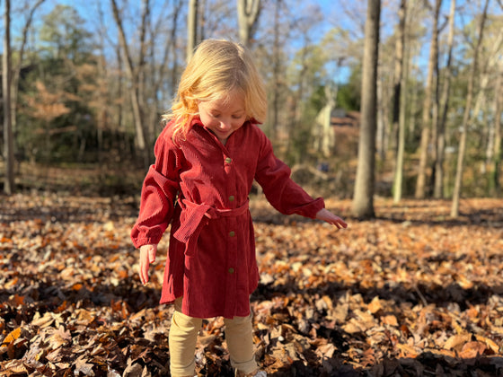 Shannon Coat Dress in Pumpkin