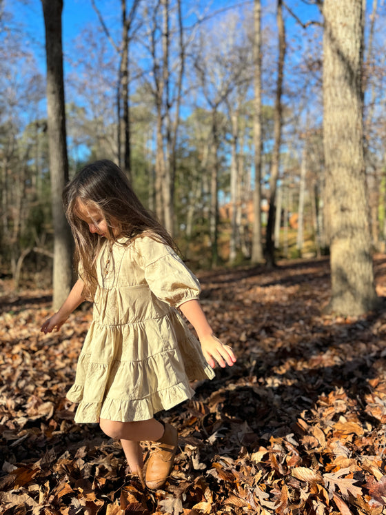 Saorise Dress in Barley