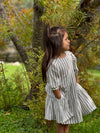 Willlow Dress in Bohemian Gray
