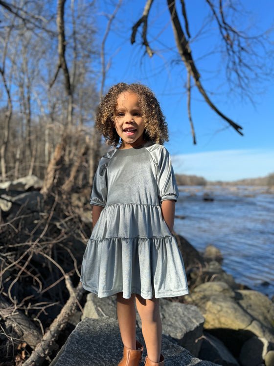 Alice Dress in Silver