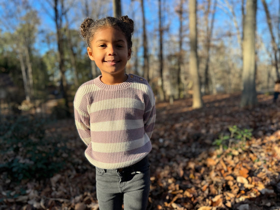 Saylor Sweater in Lavender Stripe
