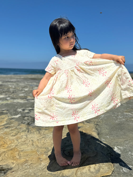 Rylie Dress in Pink Spring Floral