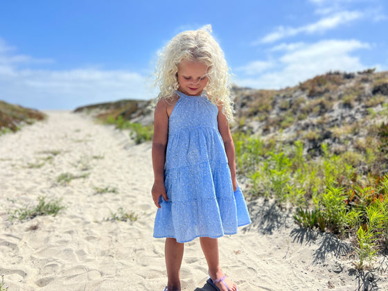 Maleia Dress in Blue Jasmine