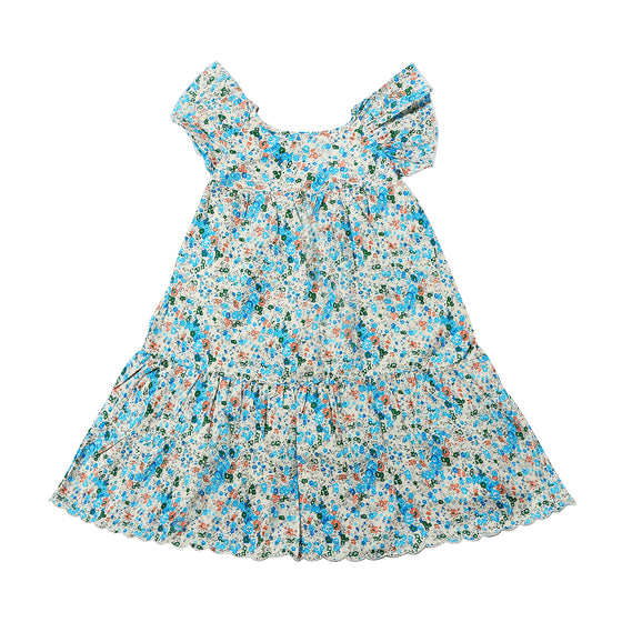 Jolplin Dress in Blue Floral