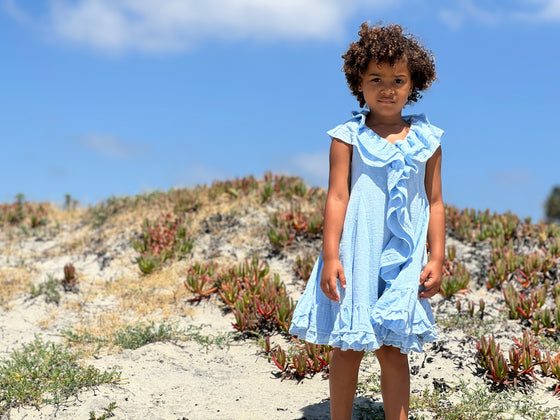 Kimberly Dress in Pale Blue
