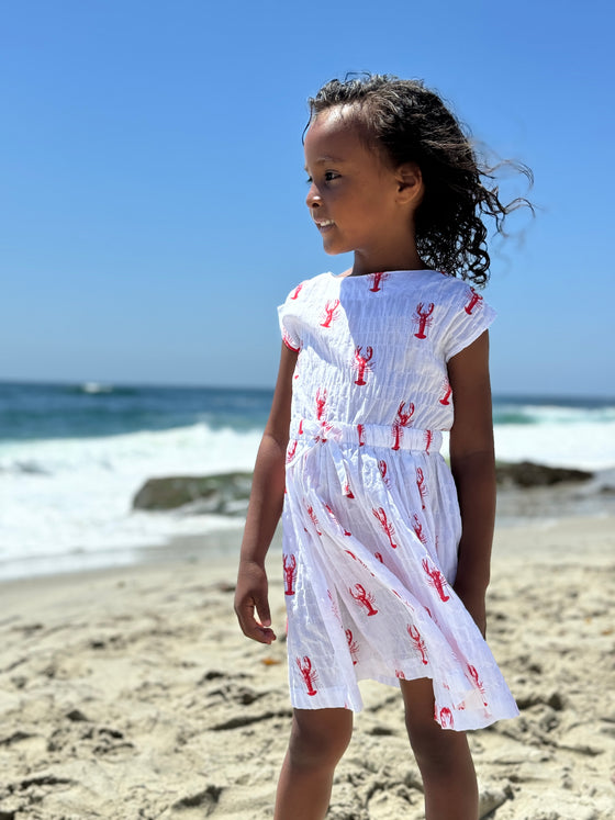 Saylor Dress in Nautical Lobsters