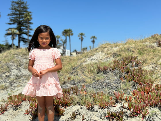 Dehlia Dress in Pink