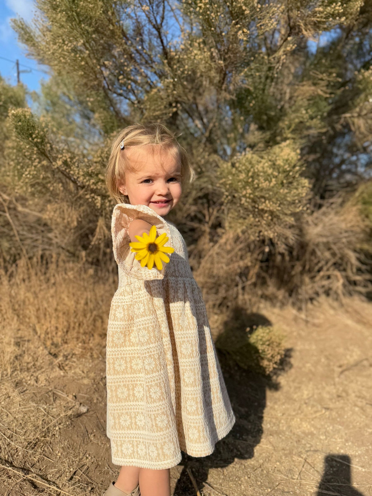 Paige Dress in Gold Snowflake