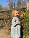 Paige Dress in Blue Snowflake