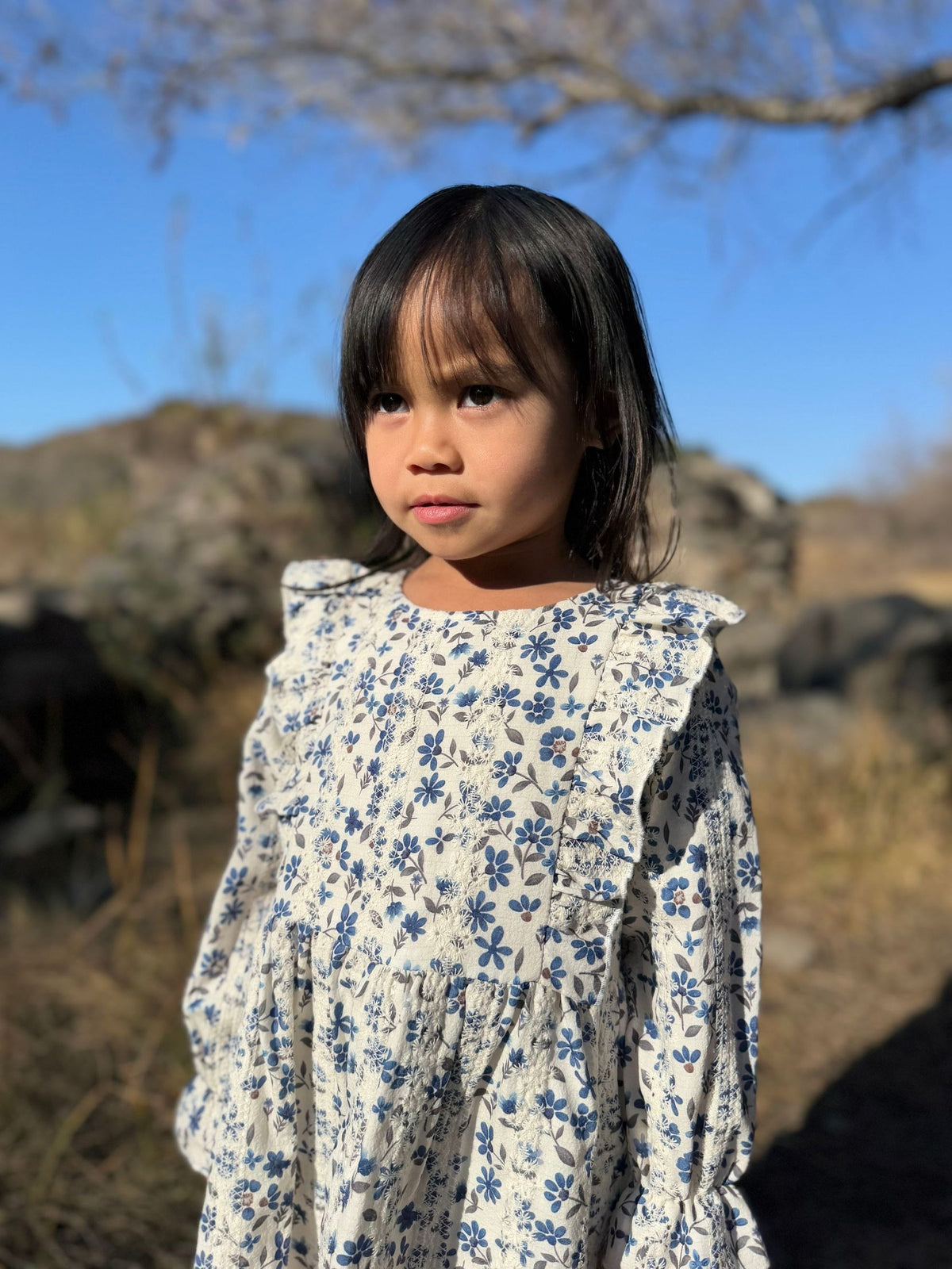Sloane Dress in Blue Floral Eyelet