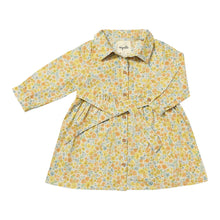  Amy Dress in Gold Meadow