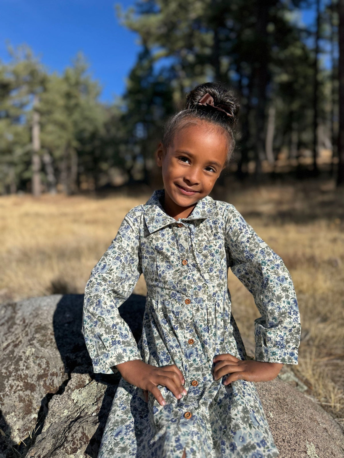 Amy Dress in Blue Meadow