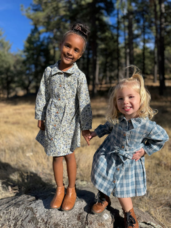 Amy Dress in Blue Plaid